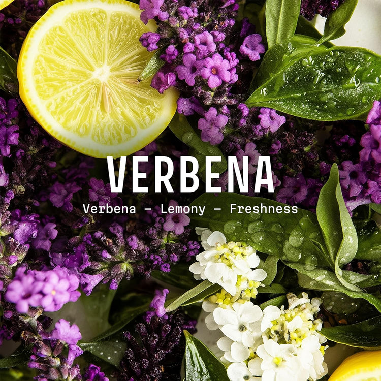- Verbena Eau De Toilette 1.7 Floz – Fresh & Lemony Fragrance - Daily Light Perfume for Women - Parfum Crafted in Grasse, France - Gifts for Her - Elegant Packaging